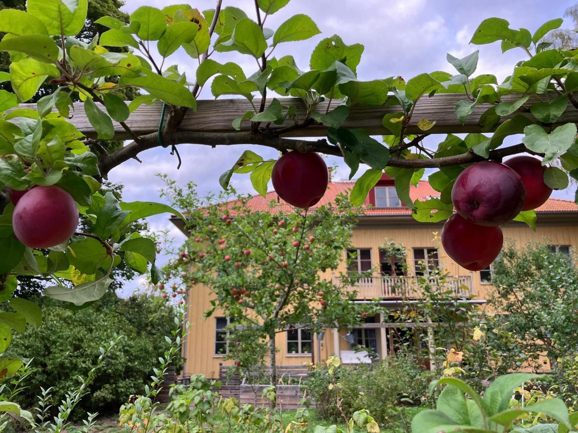 Lidhem Herrgard. Bed & Breakfast Och Mindre Laegenheter Vimmerby Exterior photo